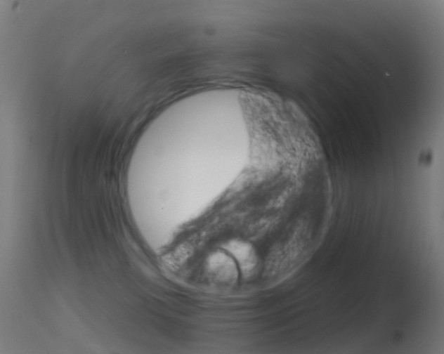 X0000114670183200910211017