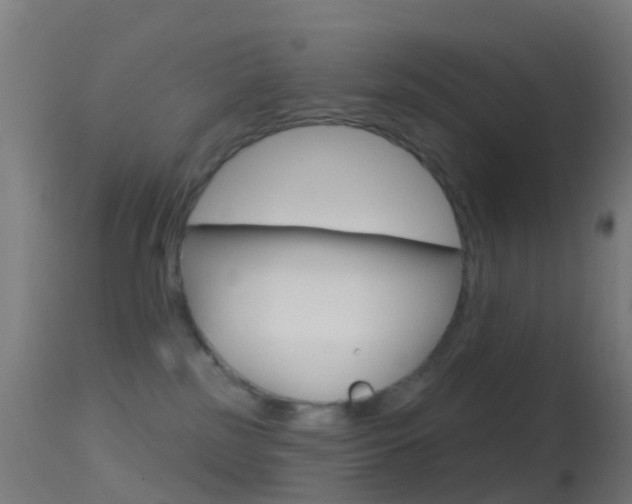X0000114670185200910211017