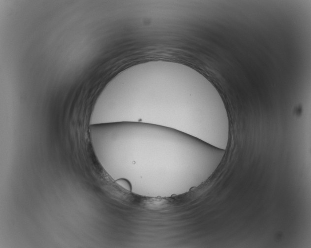 X0000114670189200910211018