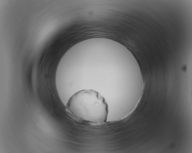 X0000114670190200910211018