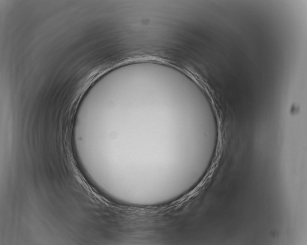 X0000114670193200910211017