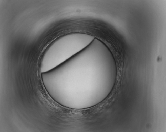 X0000114670194200910211017