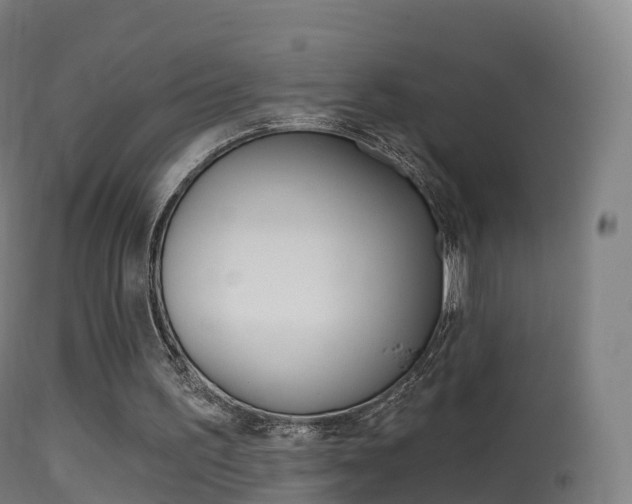 X0000114670195200910211017