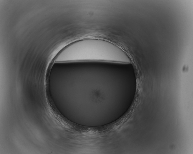 X0000114670196200910211017