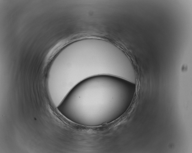 X0000114670197200910211017