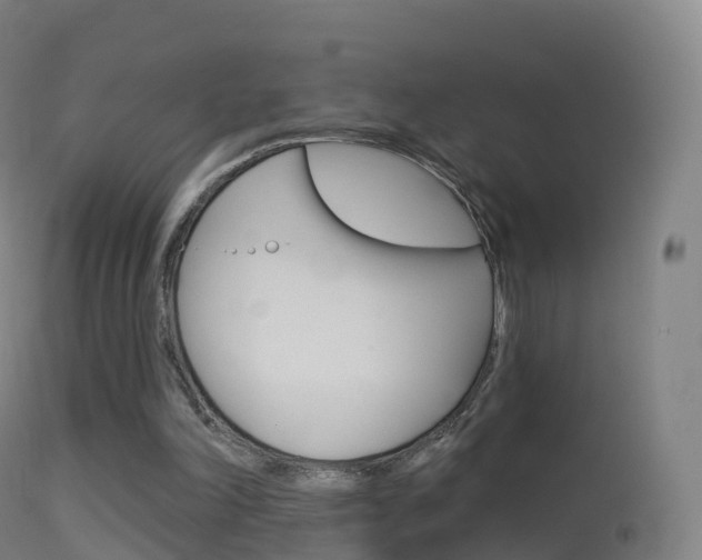 X0000114670198200910211017