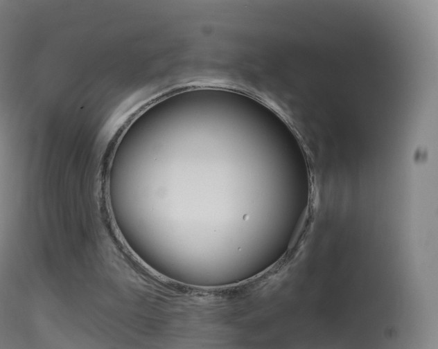 X0000114670199200910211017
