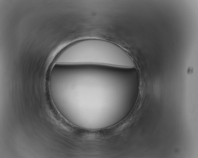 X0000114670200200910211017