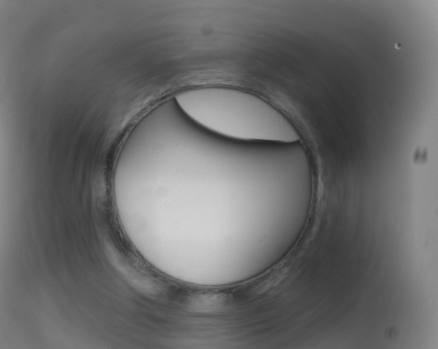 X0000114670202200910211017