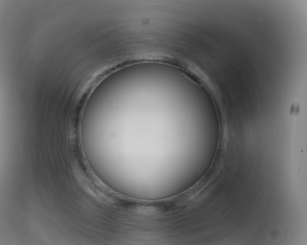 X0000114670203200910211017