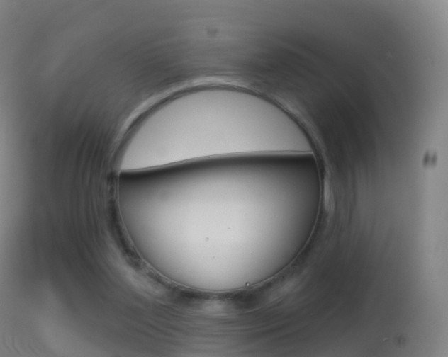 X0000114670204200910211017
