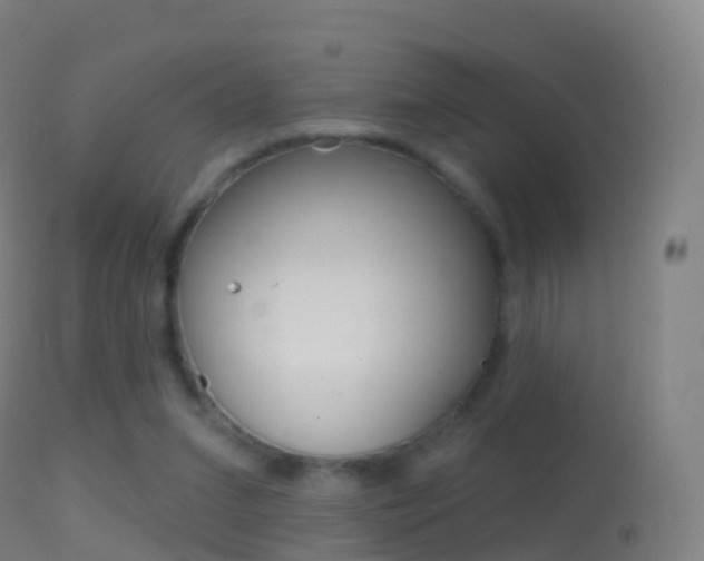 X0000114670207200910211017