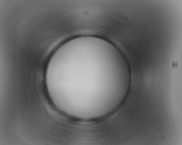 X0000114670208200910211017