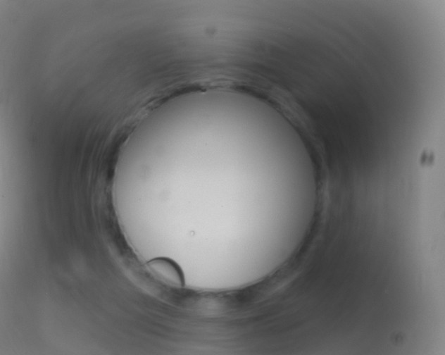 X0000114670209200910211017