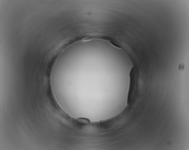 X0000114670211200910211016