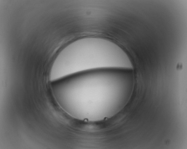 X0000114670212200910211016