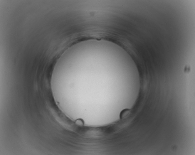 X0000114670213200910211016
