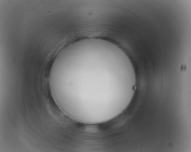 X0000114670214200910211016