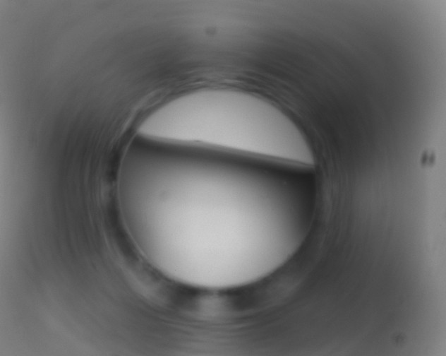 X0000114670216200910211016