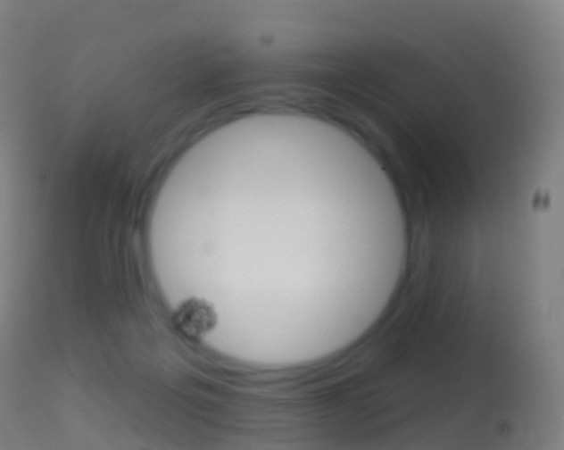 X0000114670217200910211016