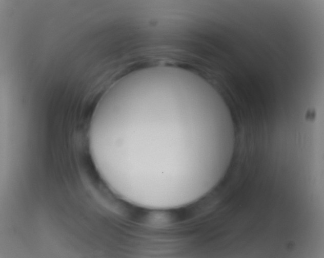 X0000114670218200910211016