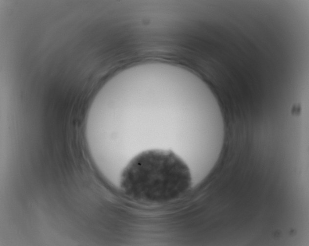 X0000114670219200910211016