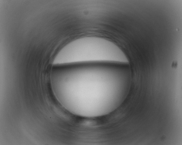 X0000114670220200910211016