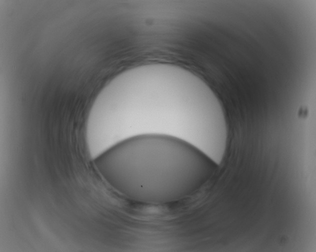 X0000114670223200910211016