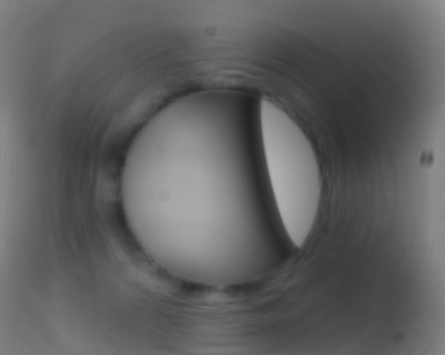 X0000114670224200910211016