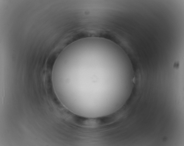 X0000114670225200910211016