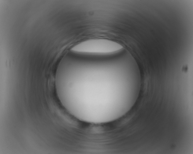X0000114670228200910211016