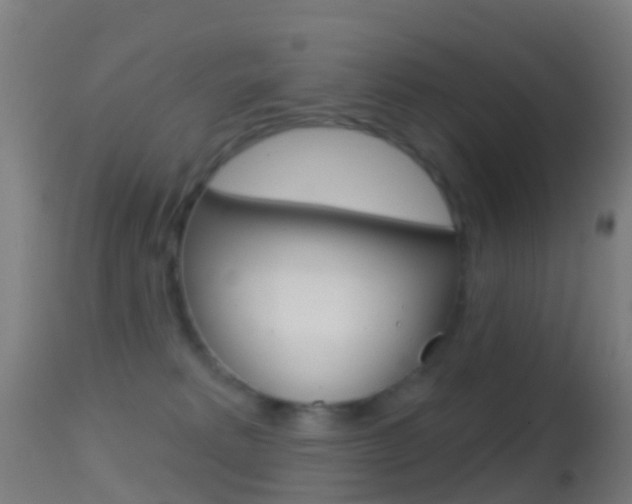X0000114670229200910211016