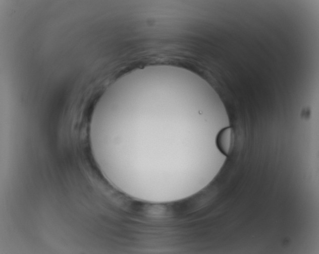 X0000114670230200910211016