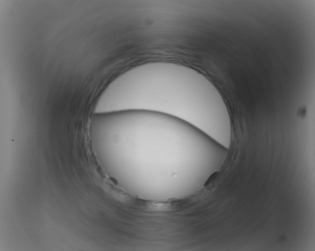 X0000114670233200910211016