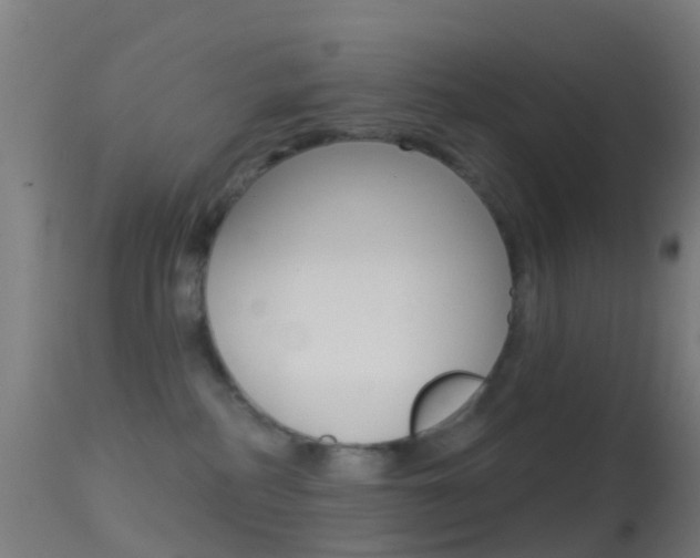 X0000114670234200910211016