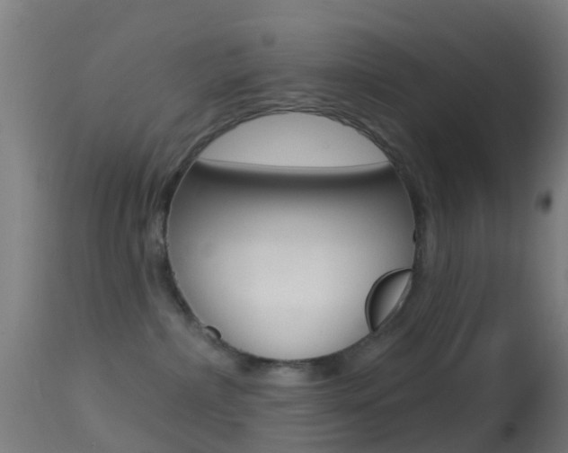 X0000114670236200910211016