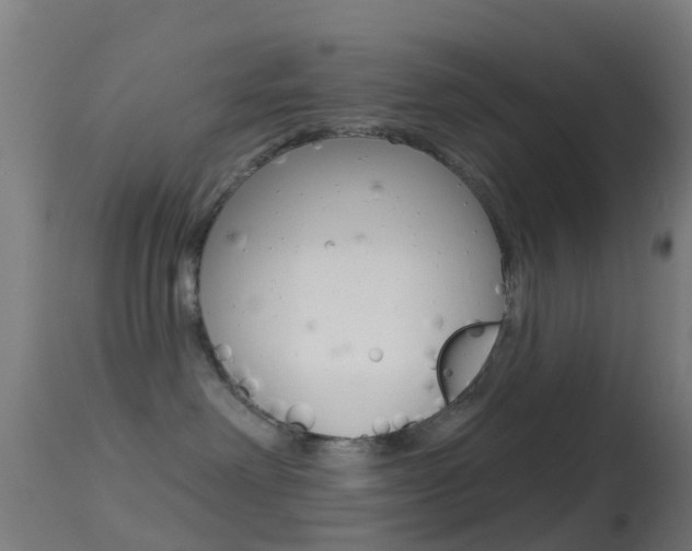 X0000114670238200910211016