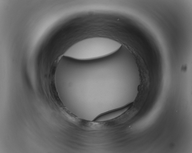 X0000114670239200910211016