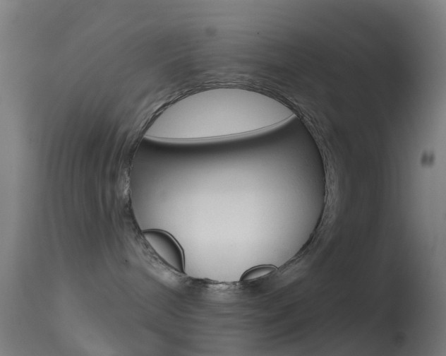 X0000114670240200910211016
