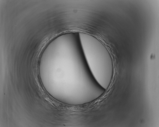 X0000114670241200910211015