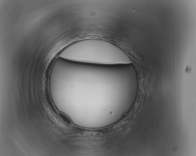 X0000114670242200910211015