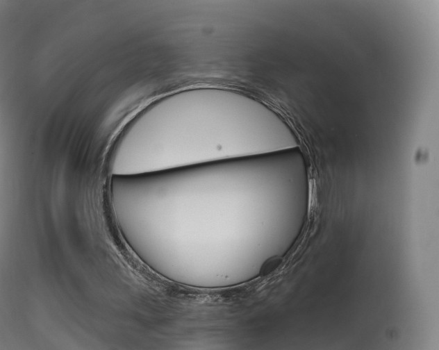 X0000114670243200910211015