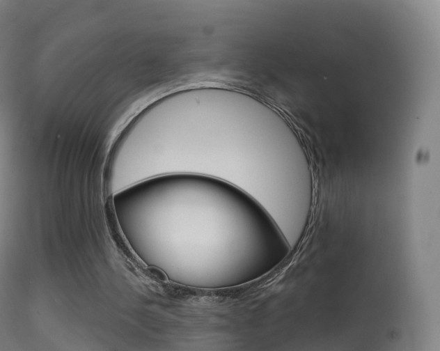 X0000114670244200910211015