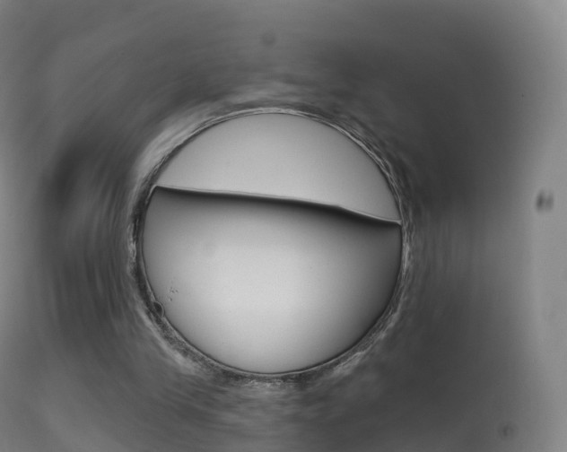 X0000114670245200910211015