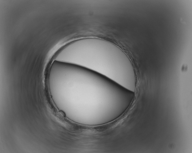 X0000114670246200910211015