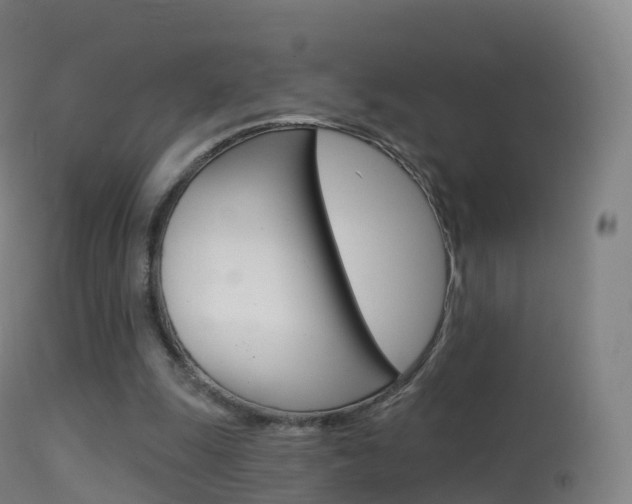 X0000114670247200910211016