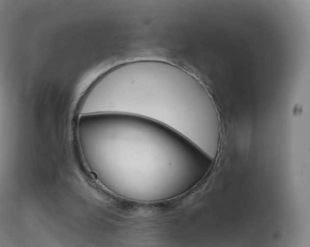 X0000114670248200910211016