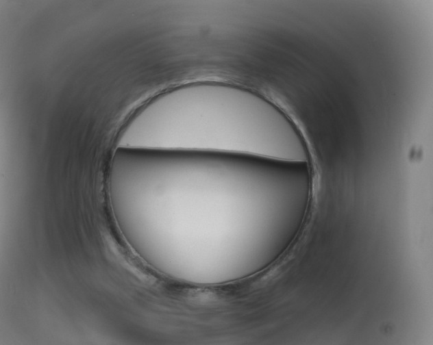 X0000114670249200910211016