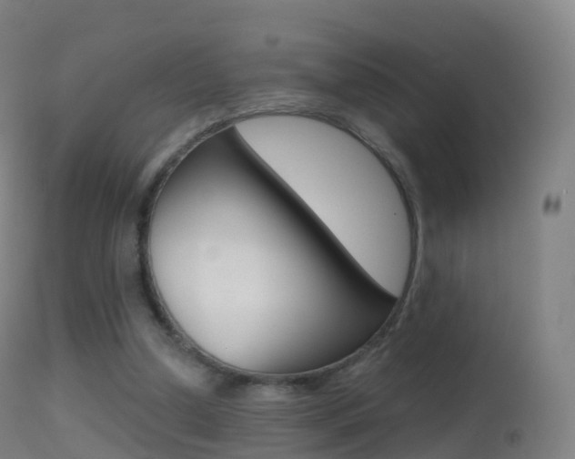 X0000114670250200910211016