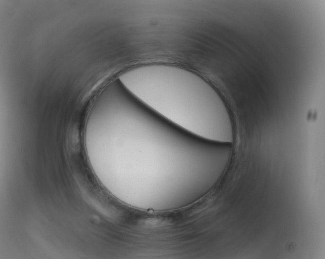 X0000114670251200910211016